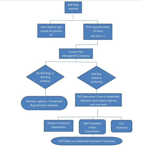 Bed Bug Action Plan Flow Chart