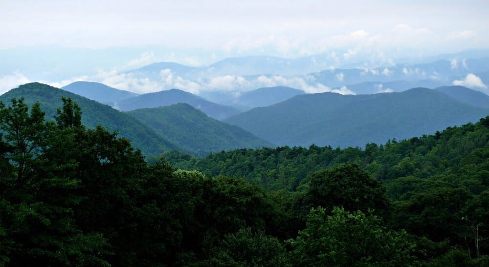 Vast landscape of mountains and trees