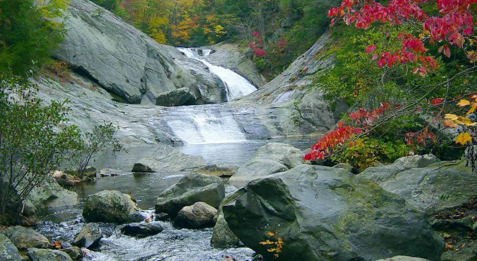 Scenic stream and colorful trees